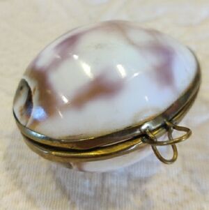 Vintage Genuine Real Cowrie Sea Shell Handmade Brass Hinged Jewelry Trinket Box